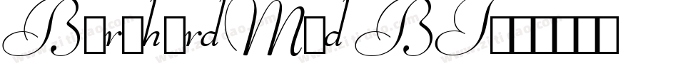 BernhardMod BT字体转换